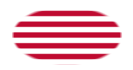 Oval vignette flag of Sons of Liberty (USA c. 1765, 13 stripes)