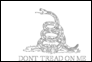 Gadsden (USA c. 1775) flag coloring page