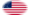 Oval vignette flag of Great Star (USA 1818-1819)