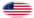 Oval vignette flag of Great Star (USA 1818-1819)