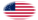 Oval vignette flag of Great Star (USA 1818-1819)