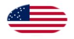Oval vignette flag of Great Star (USA 1818-1819)