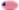 Oval vignette flag of Star-Spangled Banner (USA 1795-1818)