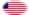 Oval vignette flag of Star-Spangled Banner (USA 1795-1818)