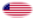 Oval vignette flag of Star-Spangled Banner (USA 1795-1818)