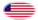 Oval vignette flag of Star-Spangled Banner (USA 1795-1818)