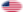 Oval vignette flag of Fort Sumter (USA 1861)