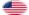 Oval vignette flag of Fort Sumter (USA 1861)