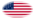 Oval vignette flag of Fort Sumter (USA 1861)