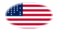 Oval vignette flag of Fort Sumter (USA 1861)