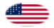 Oval vignette flag of Fort Sumter (USA 1861)