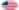Oval vignette flag of USA 37 stars (1867-1877)