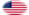 Oval vignette flag of USA 37 stars (1867-1877)