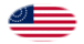 Oval vignette flag of USA 37 stars (1867-1877)