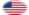 Oval vignette flag of USA 48 stars (1912-1959)