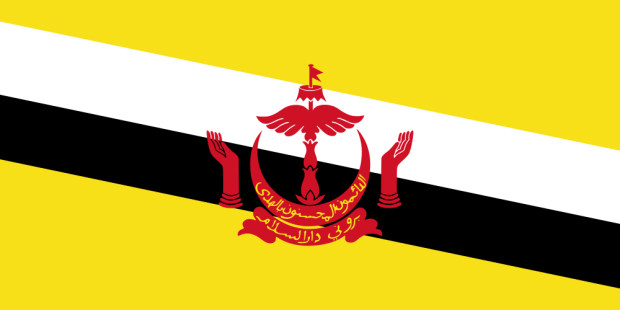 Flag Brunei Darussalam, Banner Brunei Darussalam