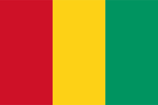 Flag Guinea