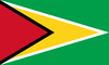 Flag graphic Guyana
