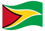 Animated flag Guyana