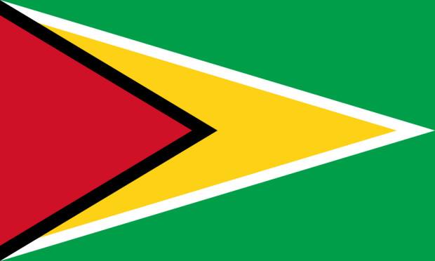 Flag Guyana, Banner Guyana