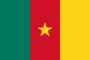 Flag graphic Cameroon