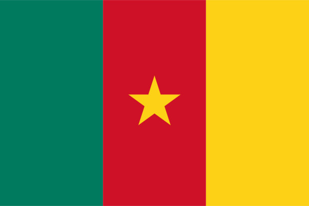 Flag Cameroon, Banner Cameroon