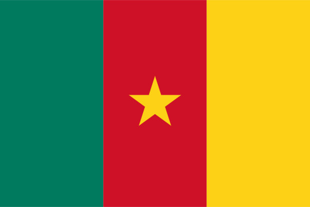 Flag Cameroon