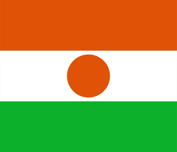 Flag Niger, Banner Niger