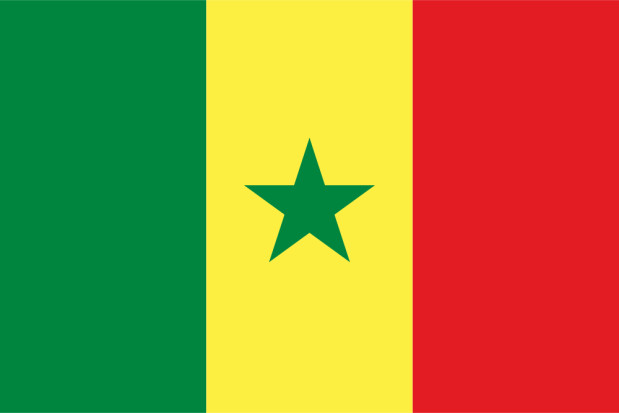 Flag Senegal, Banner Senegal
