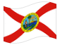 Animated flag Florida