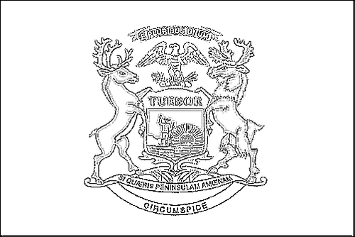 Outline of the flag of Michigan to color