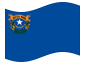 Animated flag Nevada