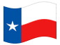 Animated flag Texas