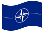 Animated flag NATO (North Atlantic Treaty Organization)