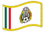 Animated flag Mexican Football Federation