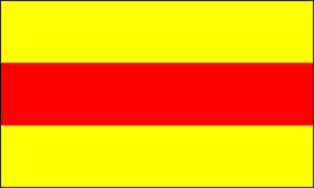 Banner Baden without coat of arms