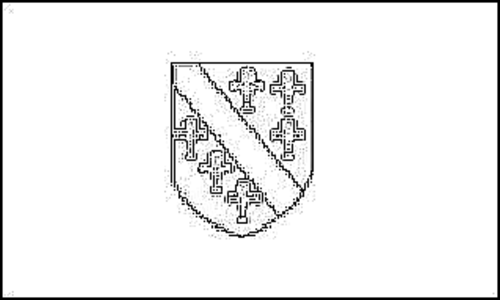Outline of the flag of Bosnia and Herzegovina (1992) to color