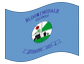 Animated flag Bloomingdale