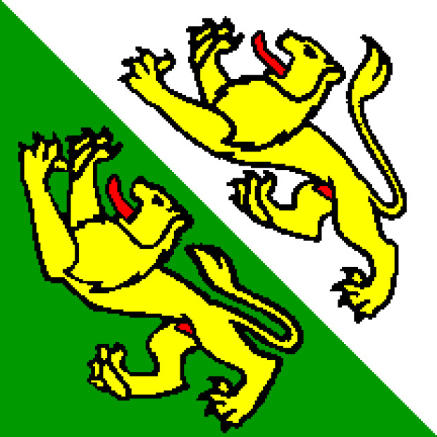 Flag Thurgau, Banner Thurgau
