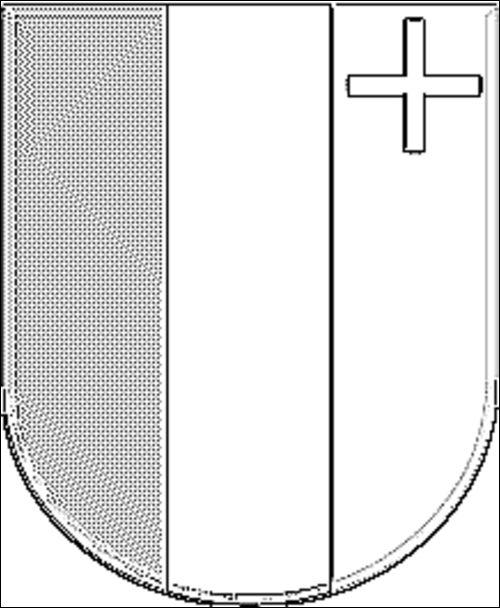 Outline of the flag of Neuchâtel / Neuchatel to color