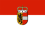 Flag Salzburg (service flag)