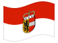 Animated flag Salzburg (service flag)