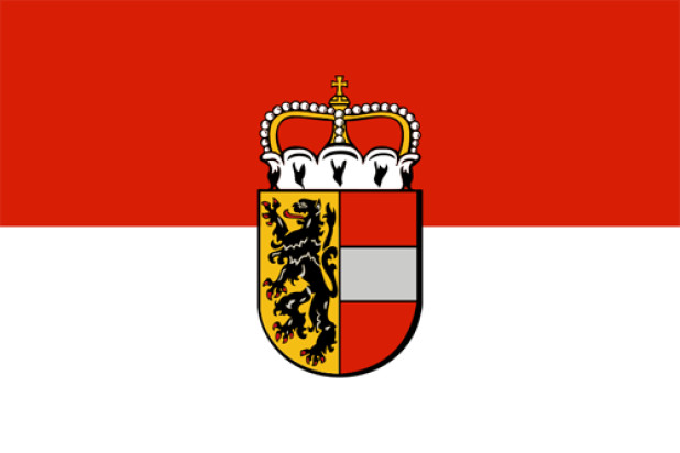 Flag Salzburg (service flag), Banner Salzburg (service flag)