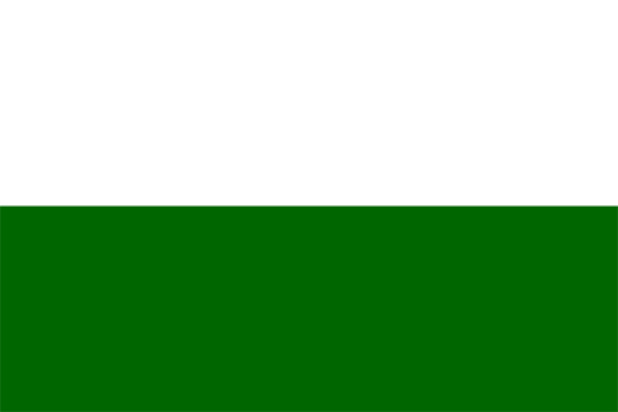Flag Styria, Banner Styria