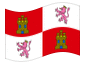 Animated flag Castile-León