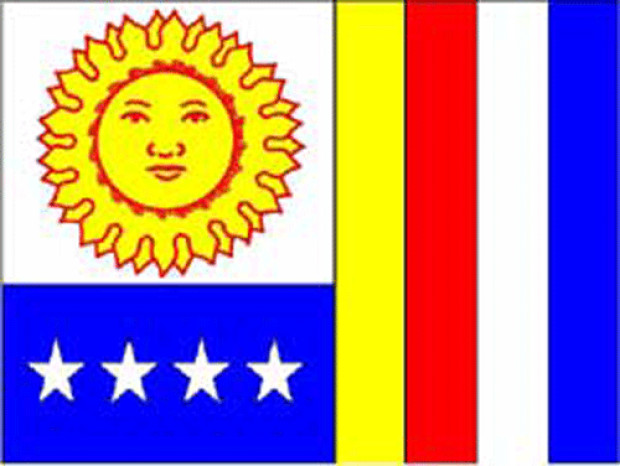 Flag Vargas, Banner Vargas