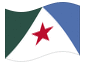 Animated flag Mérida