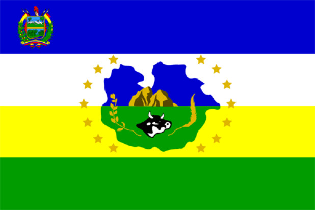 Flag Guárico, Banner Guárico