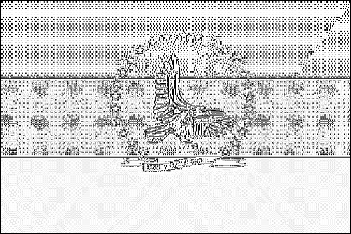 Outline of the flag of Falcón to color