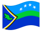 Animated flag Delta Amacuro